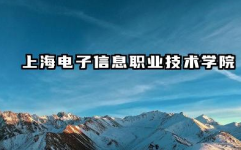 上海电子信息职业技术学院全国排名情况及录取分数线