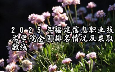 2025年福建信息职业技术学院全国排名情况及录取分数线