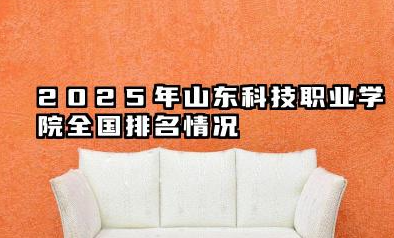 2025年山东科技职业学院全国排名情况及录取线