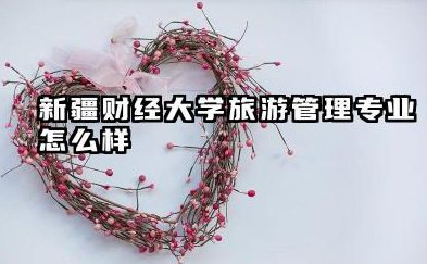新疆财经大学旅游管理专业怎么样 新疆财经大学旅游管理专业报考全方位解读