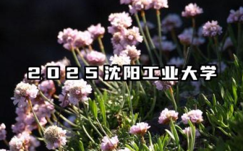 2025沈阳工业大学全国排名多少位 沈阳工业大学近年排名概况