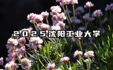 2025沈阳工业大学全国排名多少位 沈阳工业大学近年排名概况