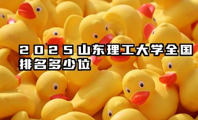 2025山东理工大学全国排名多少位 山东理工大学发展概况及未来展望