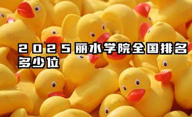 2025丽水学院全国排名多少位 丽水学院的综合实力及排名分析