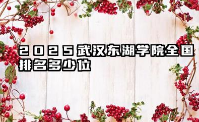 2025武汉东湖学院全国排名多少位 武汉东湖学院当前排名概况