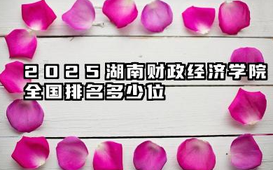 2025湖南财政经济学院全国排名多少位 国内排名如何