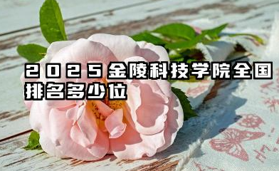 2025金陵科技学院全国排名多少位 国内多少名