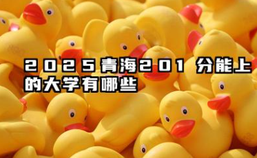 2025青海201分能上的大学有哪些 报考院校名单有哪些
