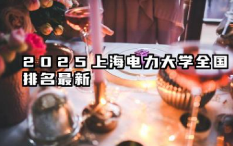 2025上海电力大学全国排名最新 录取分数线高吗