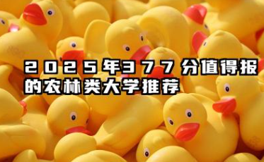 2025年377分能考什么农林类大学 2025年377分值得报的农林类大学推荐