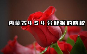 2025内蒙古454分能上的大学有哪些 报考院校名单有哪些