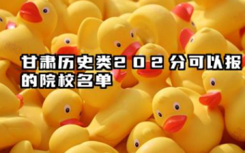 甘肃历史类202分能考哪些大学 2025考生稳上的大学名单