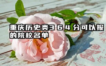 重庆历史类364分能考哪些大学 2025考生稳上的大学名单
