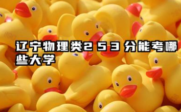 辽宁物理类253分能考哪些大学 2025辽宁物理类253分可以报的院校名单
