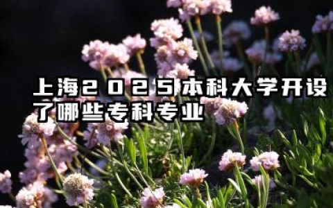 2025上海开设专科的本科大学有哪些 上海2025本科大学开设了哪些专科专业