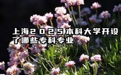 2025上海开设专科的本科大学有哪些 上海2025本科大学开设了哪些专科专业