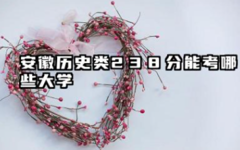 安徽历史类238分能考哪些大学 2025考生稳上的大学名单