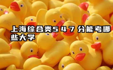 上海综合类547分能考哪些大学 2025上海综合类547分可以报的院校名单