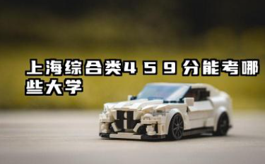 上海综合类459分能考哪些大学 2025考生稳上的大学名单