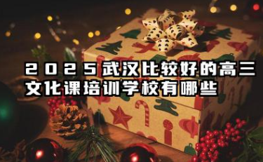 2025武汉高三文化课培训学校哪个值得选择 武汉高三生文化课怎么学习