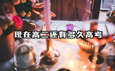 现在高二还有多久高考 高考前备考技巧是什么