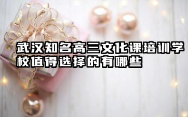 武汉知名高三文化课培训学校哪个值得选择 武汉知名高三文化课培训学校盘点