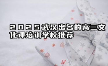 2025武汉高三文化课培训学校哪家好 2025武汉出名的高三文化课培训学校有哪些