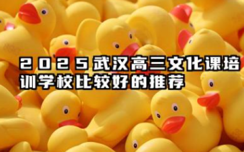 2025武汉出名的高三文化课培训学校有哪些 有什么推荐
