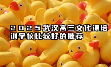 2025武汉出名的高三文化课培训学校有哪些 有什么推荐