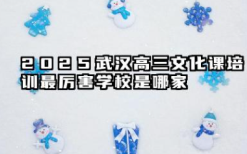 2025武汉高三文化课培训最厉害学校是哪家 2025武汉高三文化课培训比较厉害的学校推荐