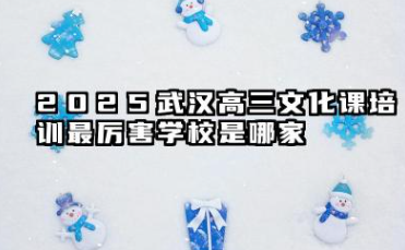 2025武汉高三文化课培训最厉害学校是哪家 2025武汉高三文化课培训比较厉害的学校推荐