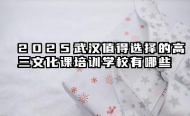 2025武汉高三文化课培训学校哪个值得选择 武汉高三文化课培训学校如何选择好