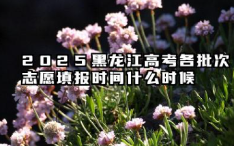 2025黑龙江高考各批次志愿填报时间什么时候 黑龙江填报志愿的窍门