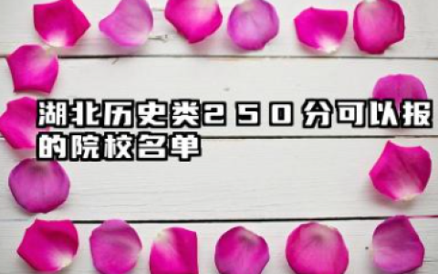 湖北历史类250分能考哪些大学 2025考生稳上的大学名单