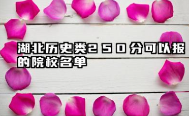 湖北历史类250分能考哪些大学 2025考生稳上的大学名单