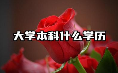 2025大学本科是什么意思 高考考上本科真的很难吗