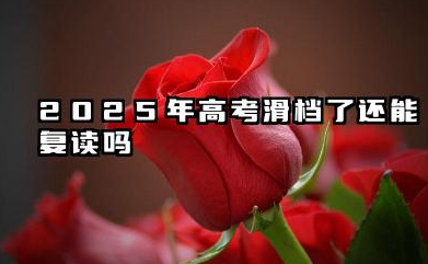 2025年高考滑档了还能复读吗 高考复读的利与弊并存