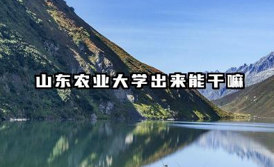 山东农业大学出来能干嘛 山东农业大学出来能做什么