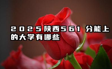 2025陕西561分能上的大学有哪些 报考院校名单有哪些