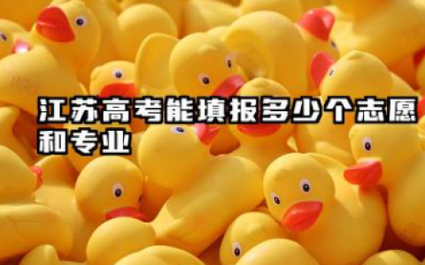 江苏高考能填报多少个志愿和专业 2025本专科志愿设置
