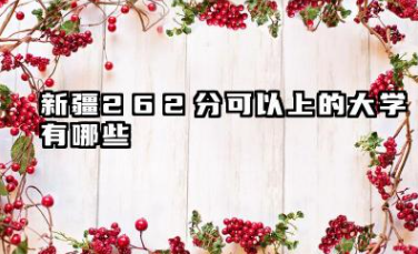 新疆262分可以上的大学有哪些 可以报考院校名单
