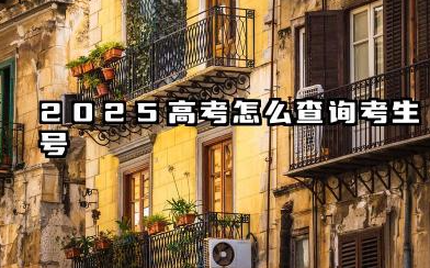 2025高考考生号怎么查询 2025高考考生号是怎么组成的
