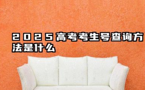 怎么查看2025年的高考考生号 2025高考前有哪些注意事项