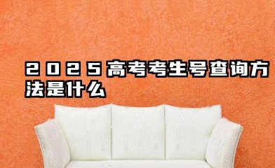 怎么查看2025年的高考考生号 2025高考前有哪些注意事项