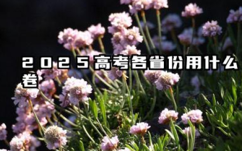 2025新高考一卷有哪些省份 实行新高考的有哪几个省