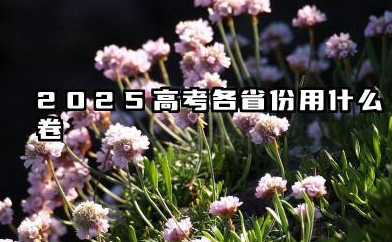 2025新高考一卷有哪些省份 实行新高考的有哪几个省