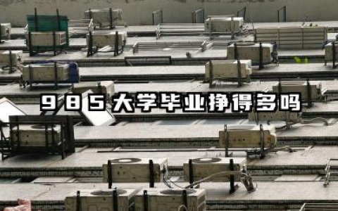985大学毕业一般月薪多少 2025挣得多吗