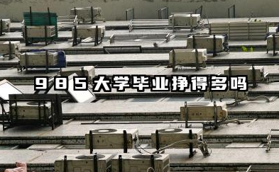 985大学毕业一般月薪多少 2025挣得多吗