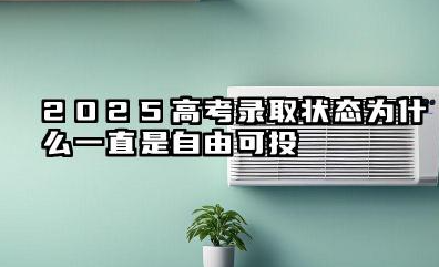 2025高考录取状态为什么一直是自由可投 是什么意思