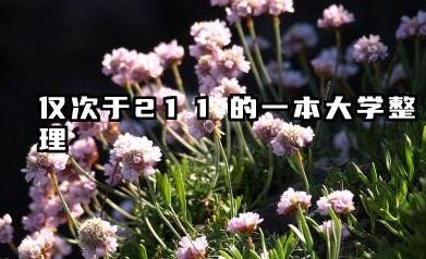 仅次于211的一本大学 2025哪些一本大学实力强值得读